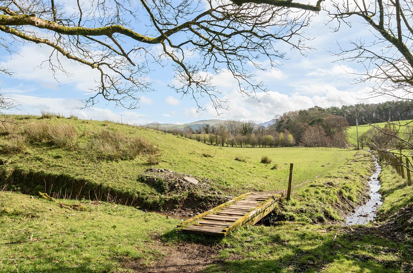 Simonscales Lane, Cockermouth Grisdales